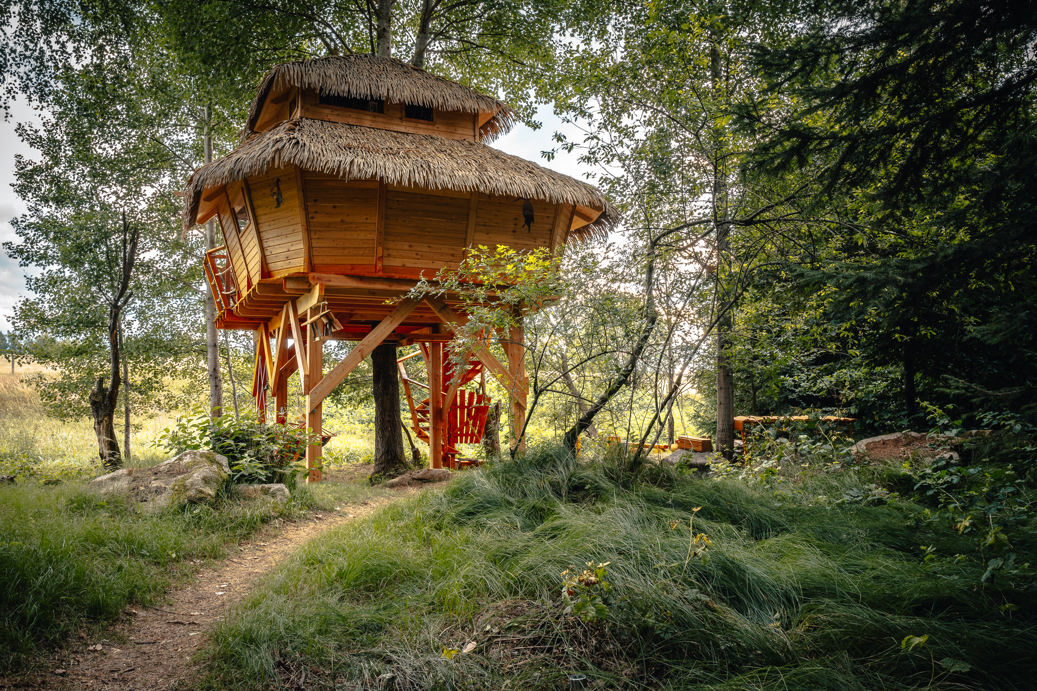 Treehouse Česká Kanada